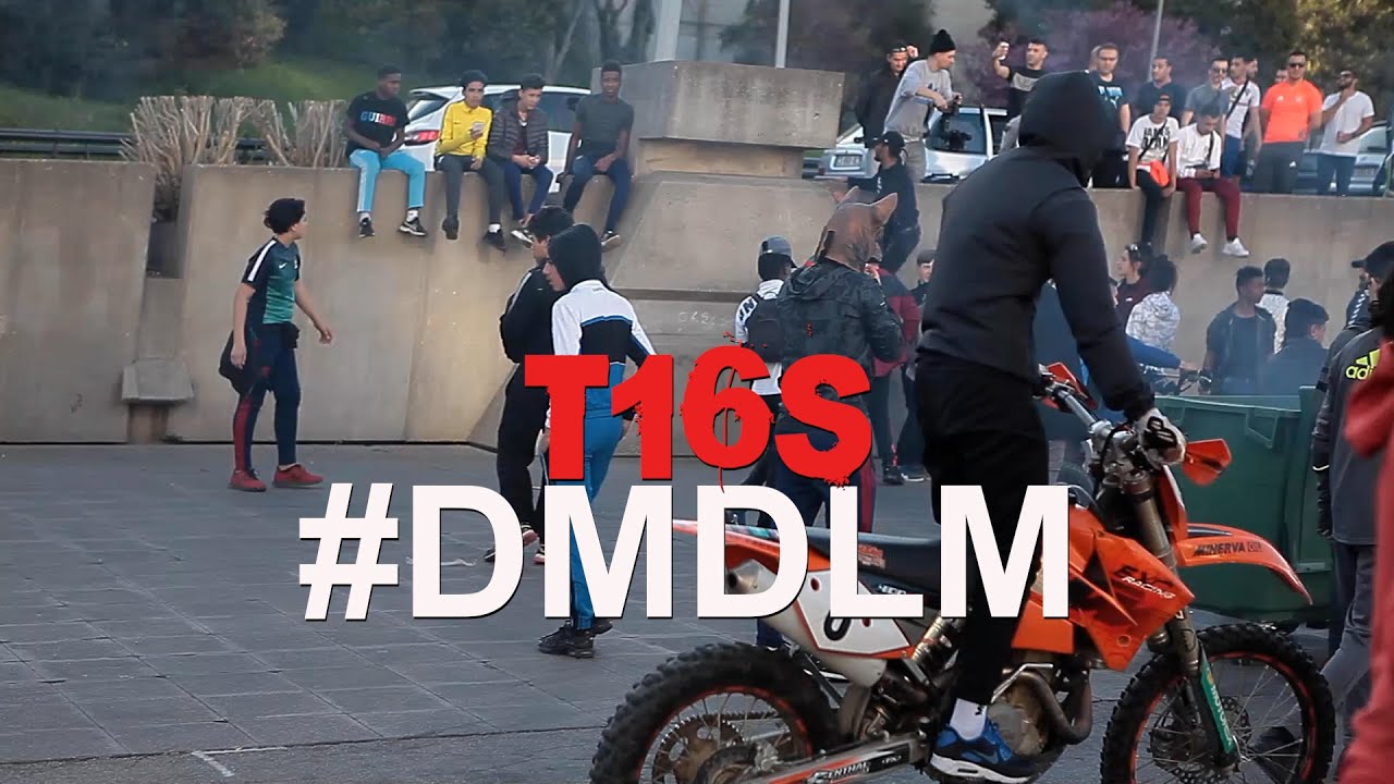 #DMDLM - T16S