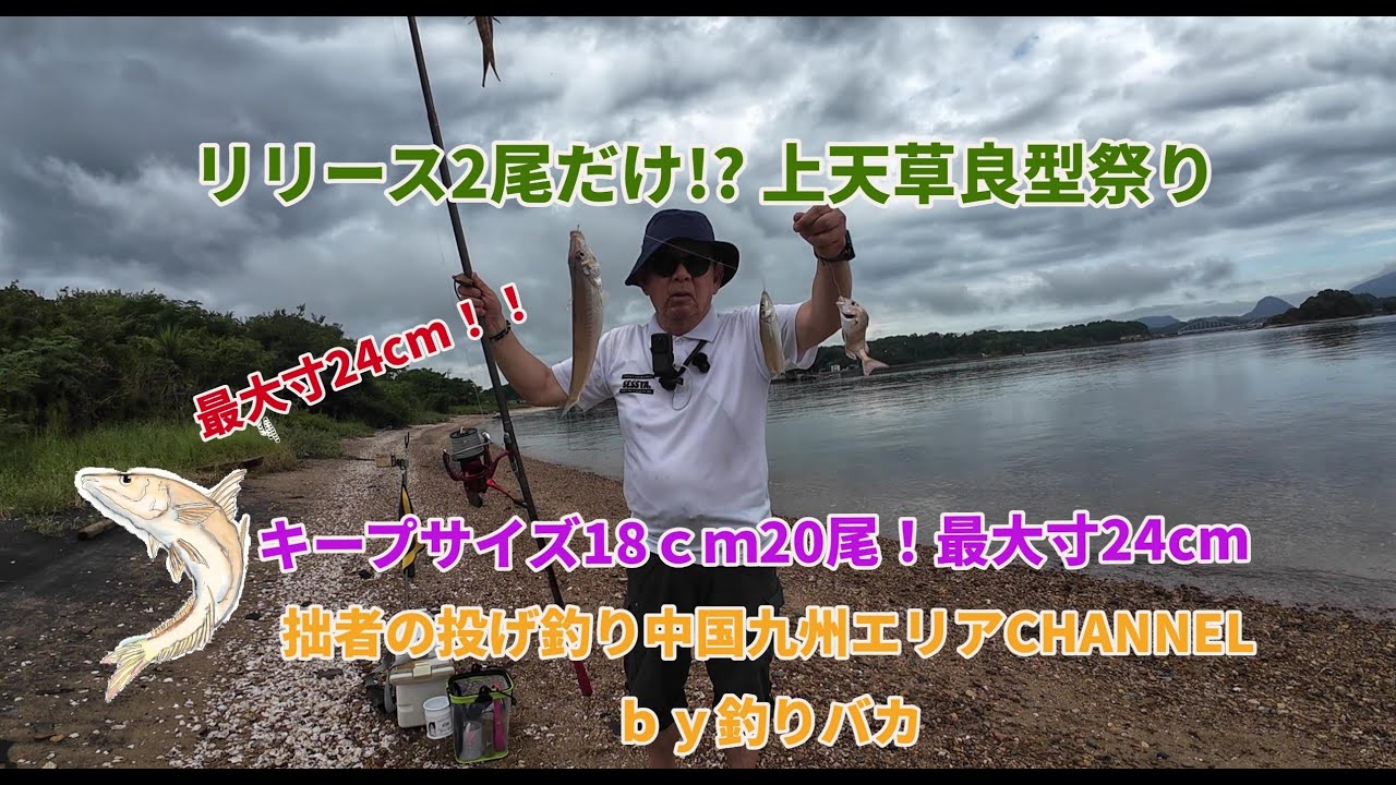【投げ釣り・キス釣り】2025年9月11日　上天草で良型キス快釣！　Japanese whiting fishing
