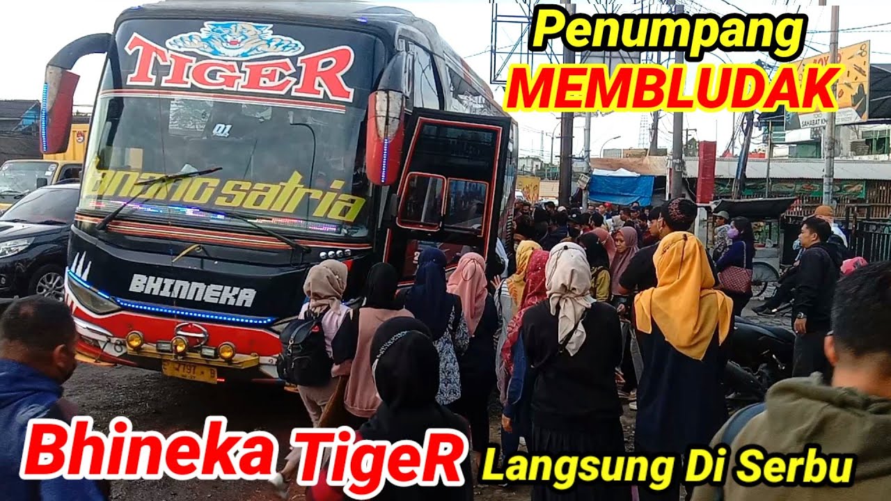 PENUMPANG PECAH😱‼️BUS BHINEKA TIGER DI SERBU PENUMPANG SERANG MERAK - AN