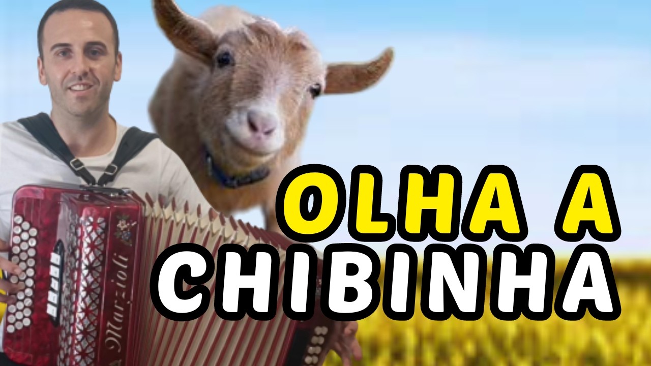 Olha a Chibinha (Mé Mé Mé) 🪗 Música Popular Portuguesa na concertina 🇵🇹