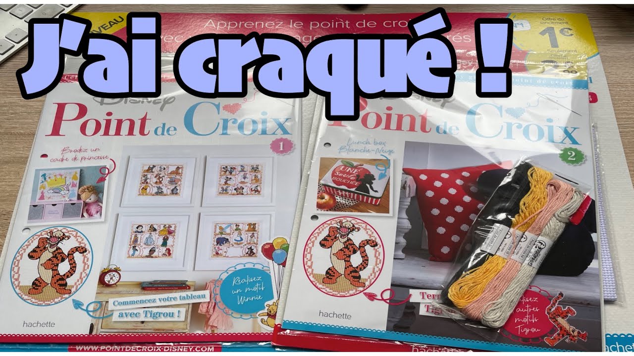 (POINT DE CROIX) 🤭 J'AI CRAQUE POUR LA COLLECTION POINT DE CROIX DISNEY  HACHETTE ! 🤭 #LPDJ
