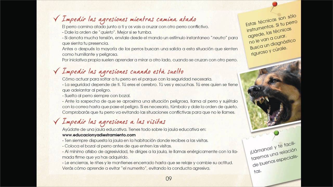 Video 07 - Impedir que agreda