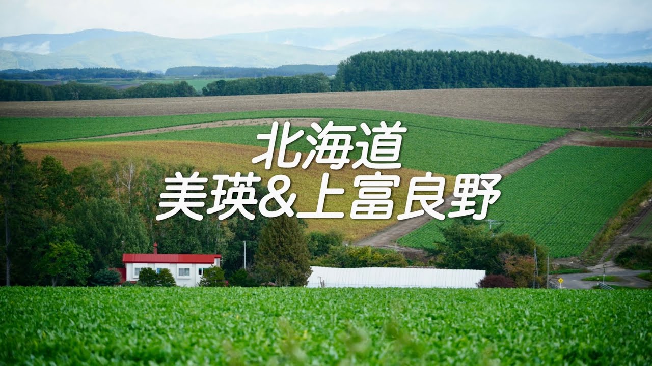 Hokkaido Road Trip! with Amazing Views & Local Food【北海道旅行】羽田→旭川✈️ 北海道・美瑛＆富良野ドライブ旅！絶景スポットとご当地グルメ満喫
