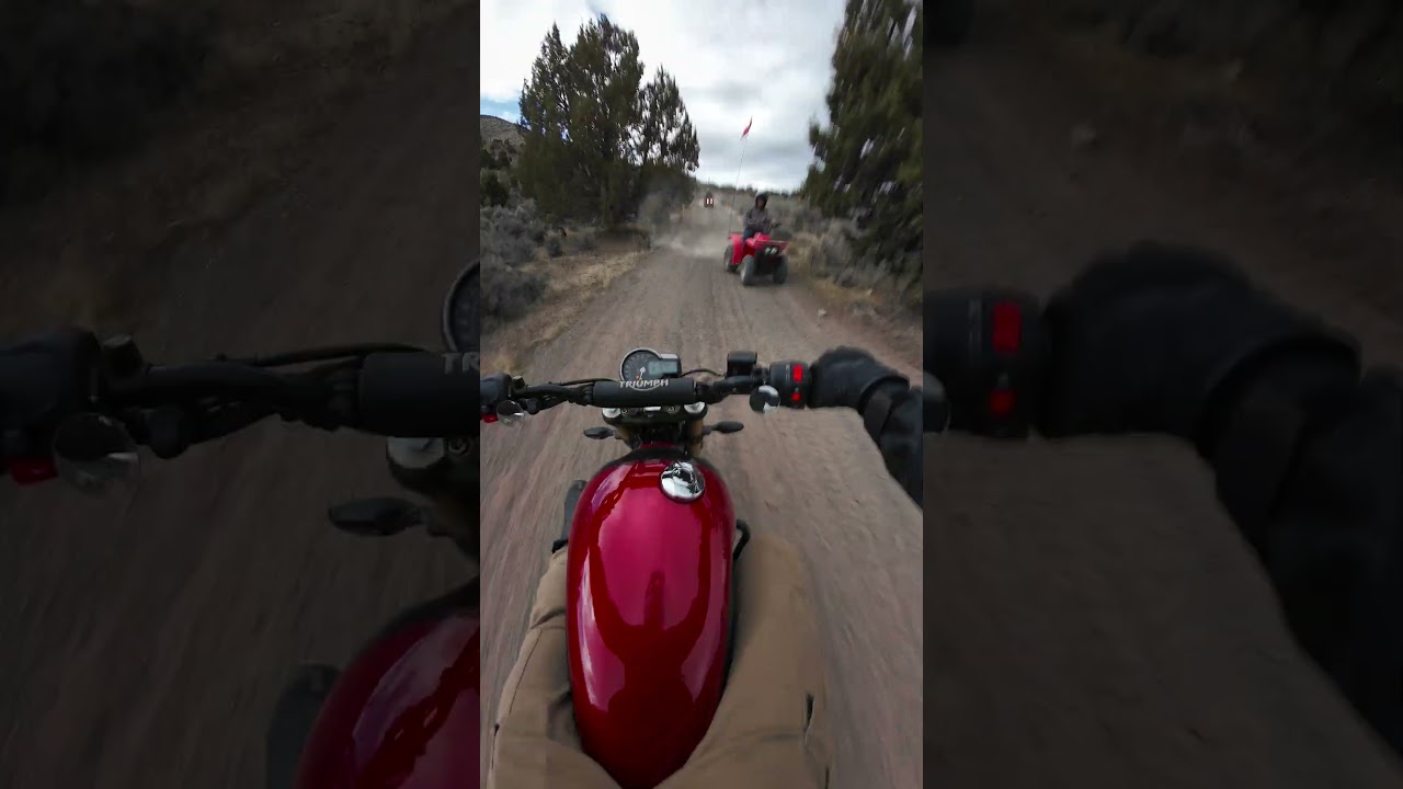 Triumph Scrambler 400 X