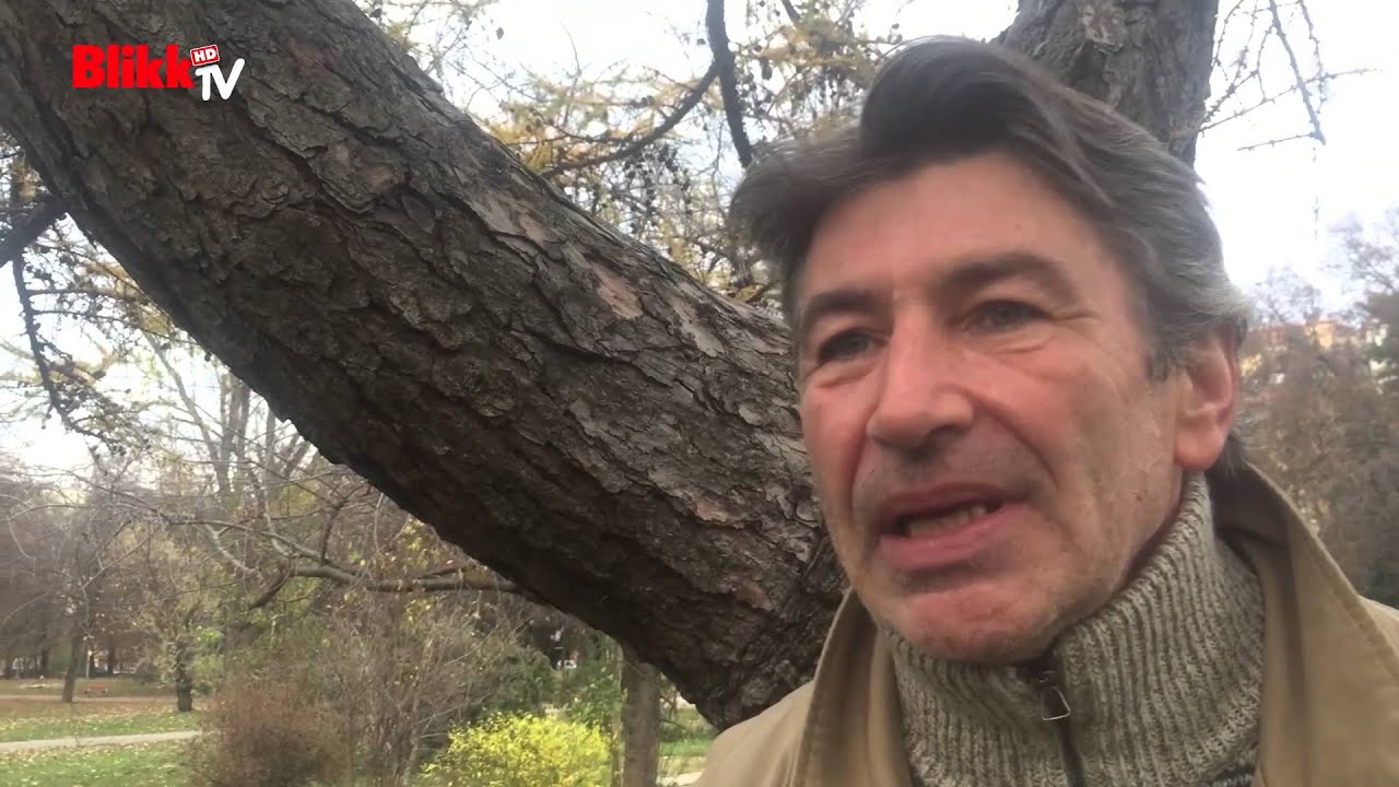 Somogyi István: 