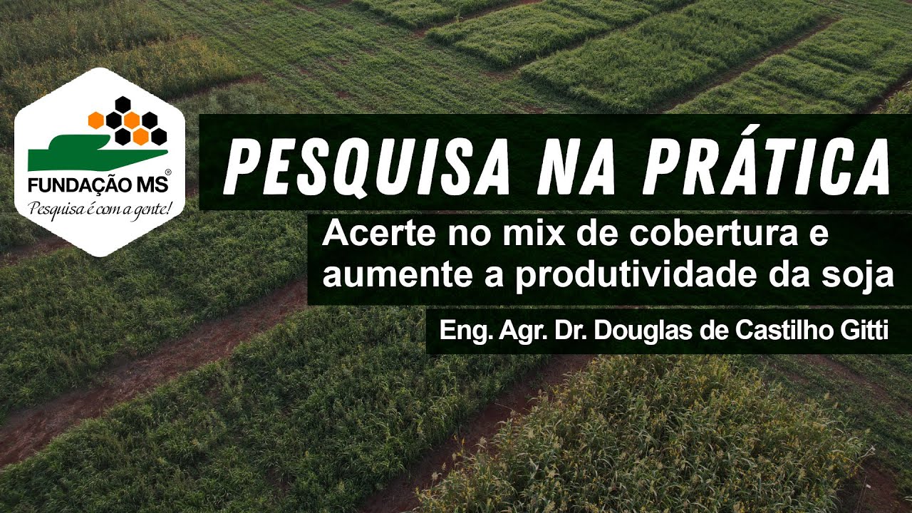 Acerte no mix de cobertura e aumente a produtividade da soja