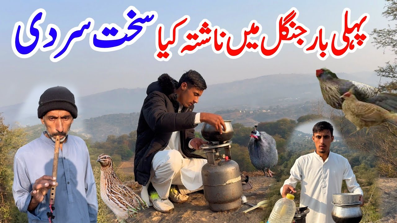 Pehli Bar Jungle Mein Nashta Kiya|Dadyal Azad Kashmir|Village Life|Kaleem Vlogs
