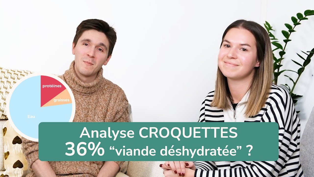 ANALYSE CROQUETTE chien chat : 