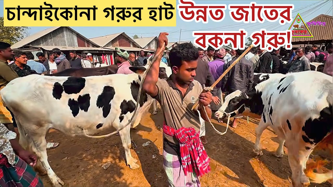 @আজ ৭ ফেব্রুয়ারি ২০২৬ শনিবার