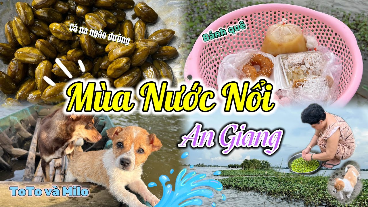 M&ugrave;a NƯỚC NỔI ở qu&ecirc; | Thanh Tiger 