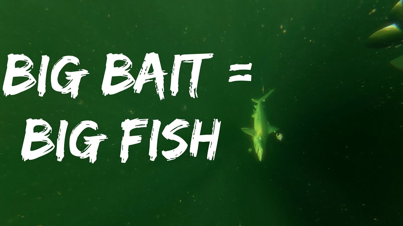 Big Bait Crew on D Trulee Charters | Big Bait Brings Big Fish - Northcoast #Trinidad 