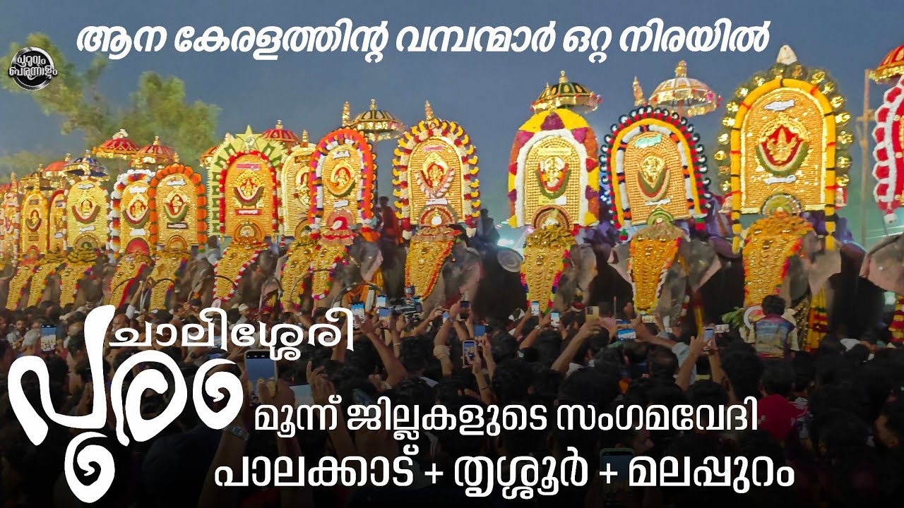 ആനകേരളതിൻ്റെ വമ്പന്മാർ ഒറ്റ നിരയിൽ| Chalissery pooram 2026| 