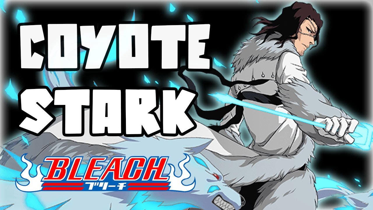 PARLONS DE COYOTE STARK | LA SOLITUDE