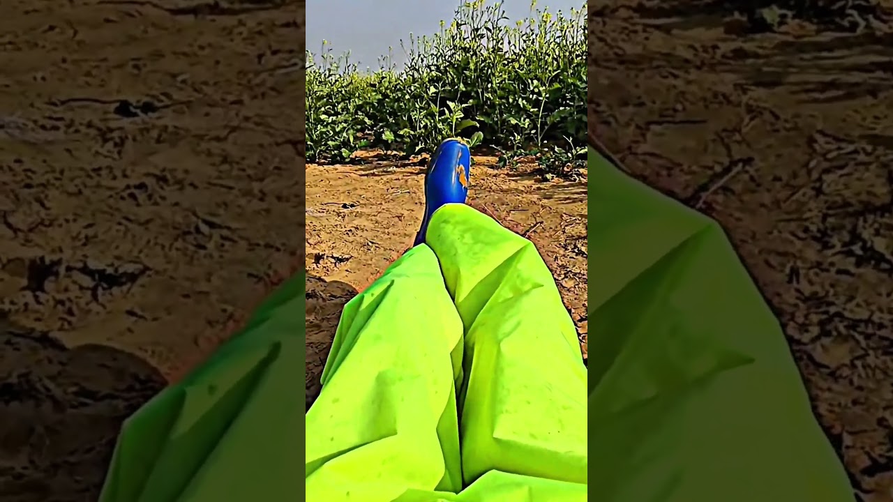Top Farmer Reveals Best Morning Watering Techniques for HEALTHY Mustard Growth