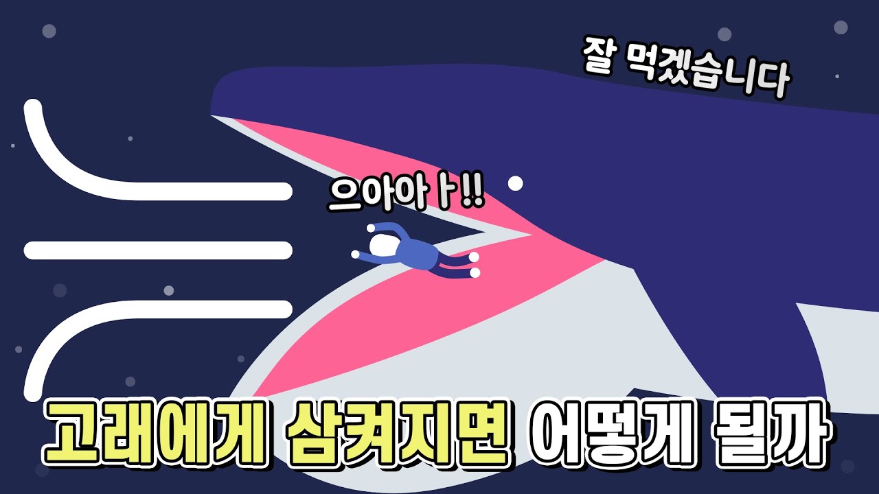 고래에게 삼켜지면 살아돌아올 수 있을까