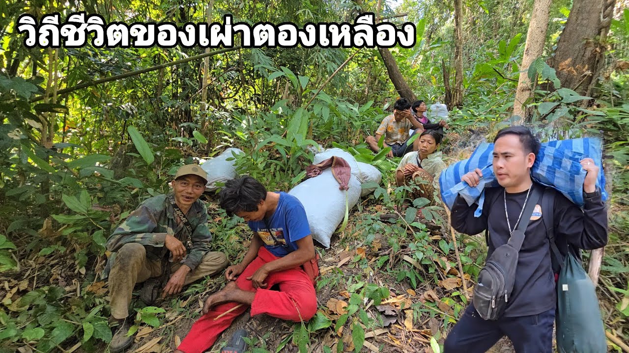 บุกเข้าไปหมู่บ้านเผ่าตองเหลืองอยู่กลางป่าลึก คนป่า ตองเหลึอง ຄົນປ່າ ຕອງເຫຼືອງ bn saolao 