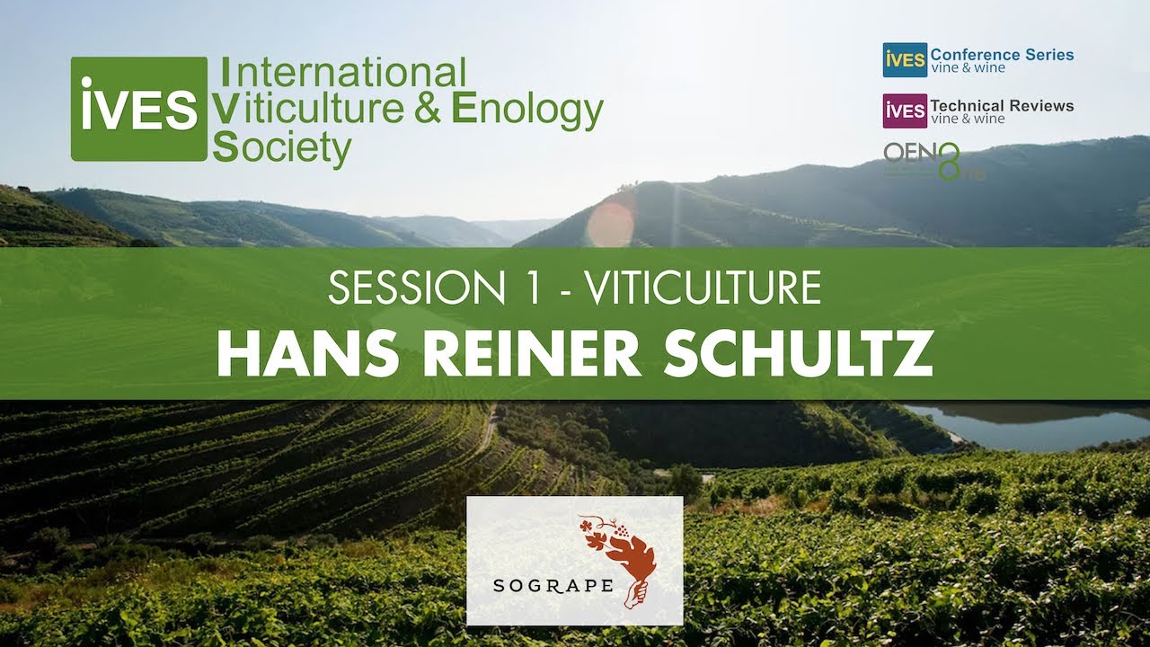 Soil carbon changes and greenhouse gas emissions in vineyards – Is the 4 per 1000 goal realistic?