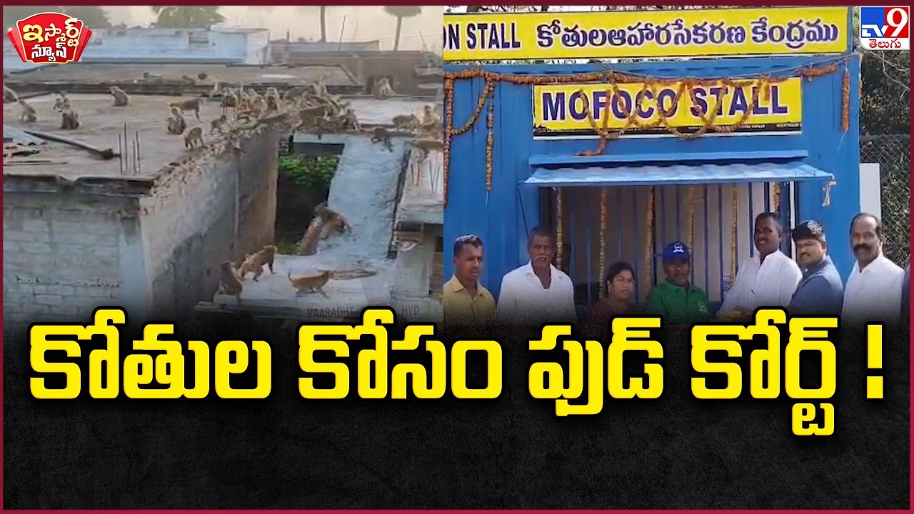 iSmart News : కోతుల కోసం ఫుడ్ కోర్ట్ !  | Food Court For Monkeys - TV9