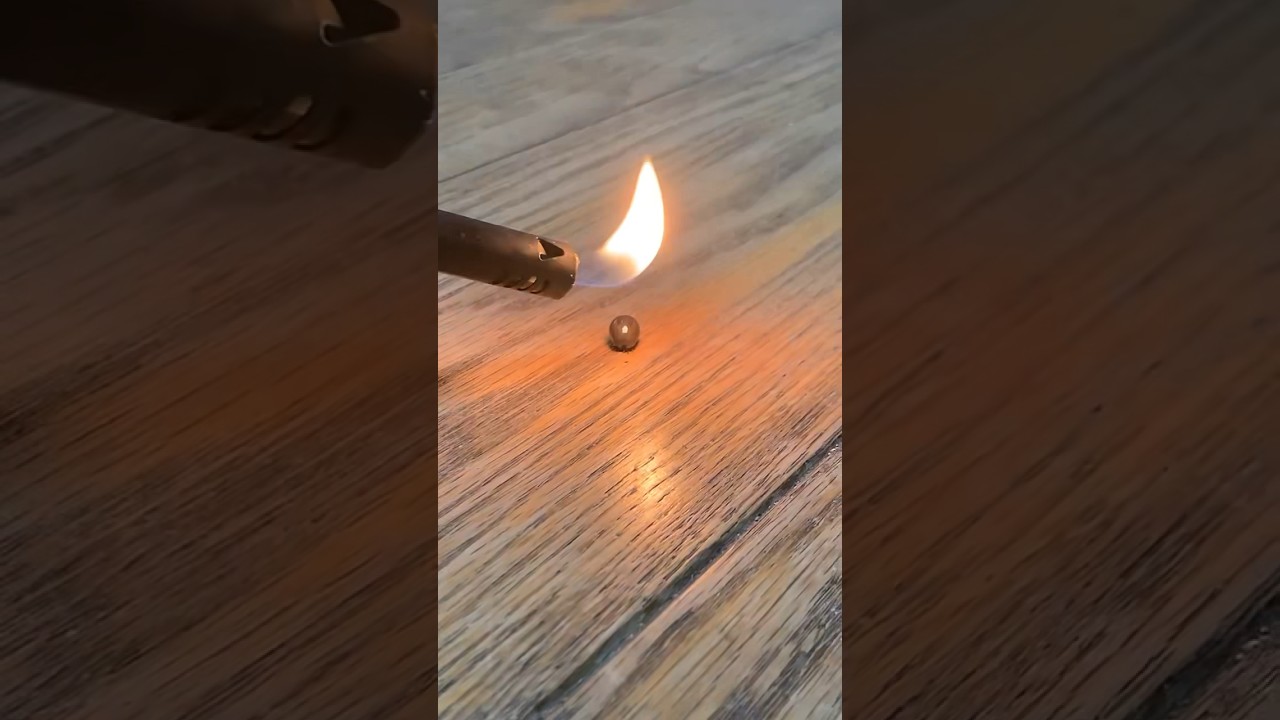 Torching an engorged deer tick crawling on my house floor 🫣