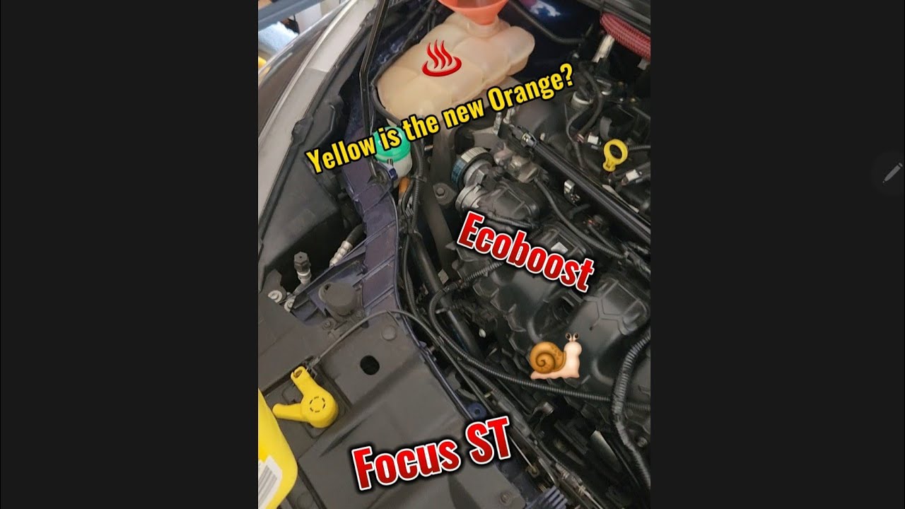 Own a Focus ST?! DO THIS NOW for your ecoboost longevity
