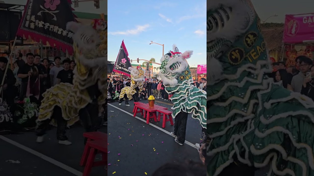 Lion dance ,celebrate lunar new year 