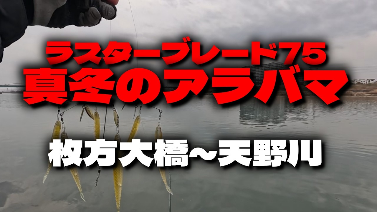 【淀川バス釣り】真冬のアラバマ（ラスターブレード75）枚方大橋～天野川
