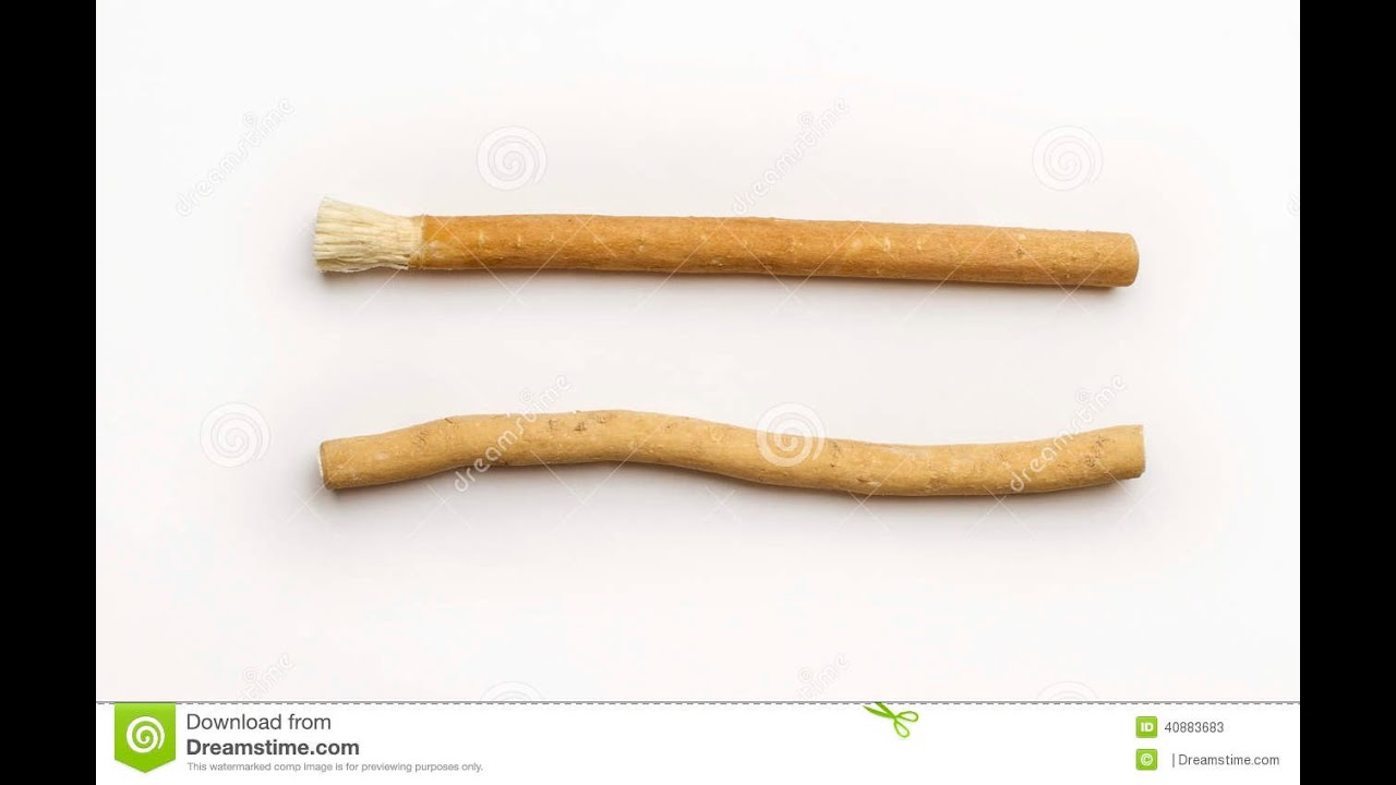 Miswak Benefits for Men & Women - Miswak amazing health benefits - Miswak ke fayde