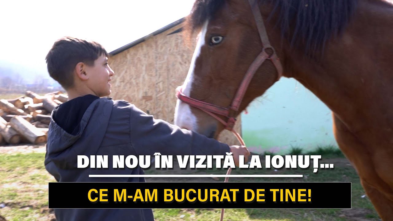 Din nou la Ionuț | Diseară mâncăm lapte…