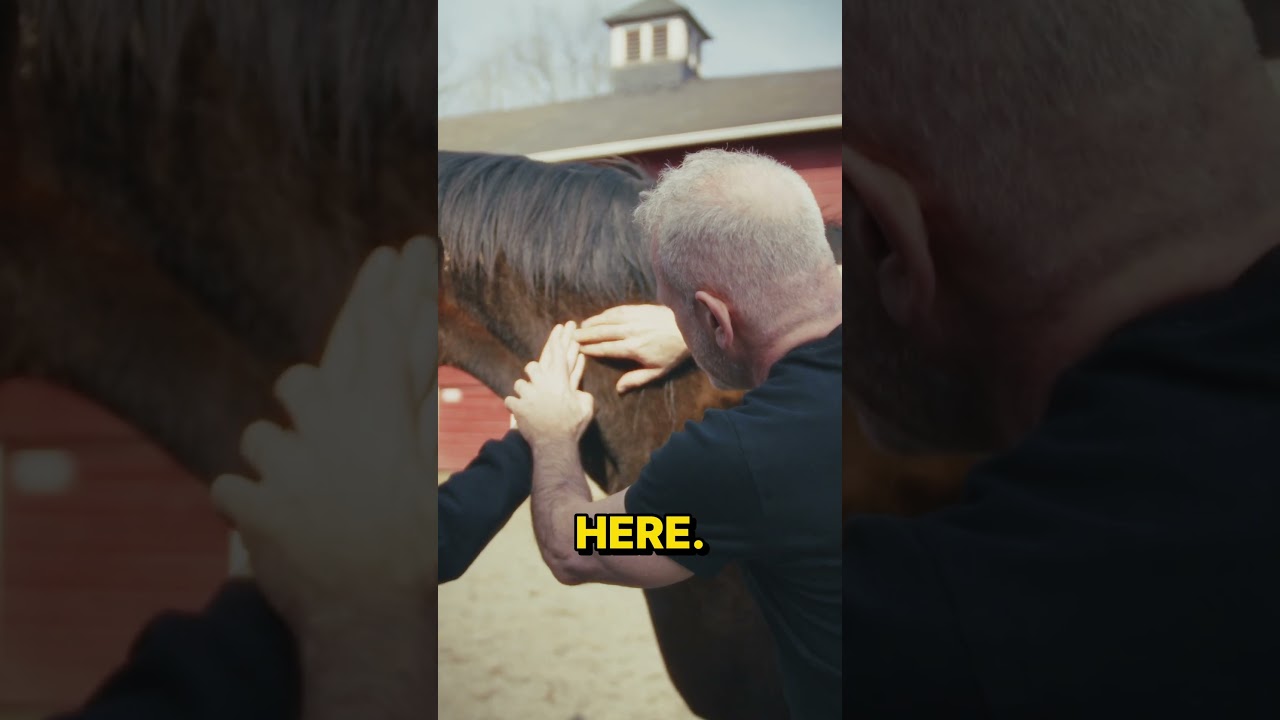 Dr Doug Releases Stress & Tension in Resuce Horse 