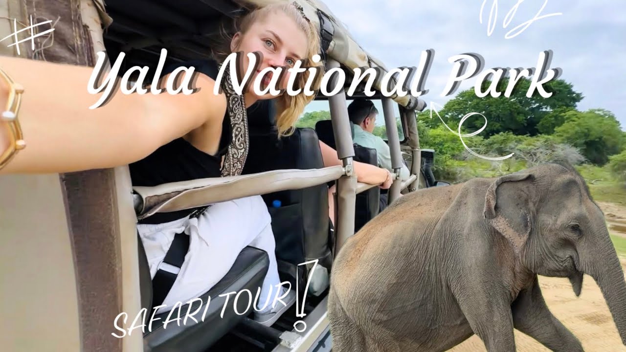 Sri Lanka 🇱🇰 Day 11 & 12: Yala / Tissa 