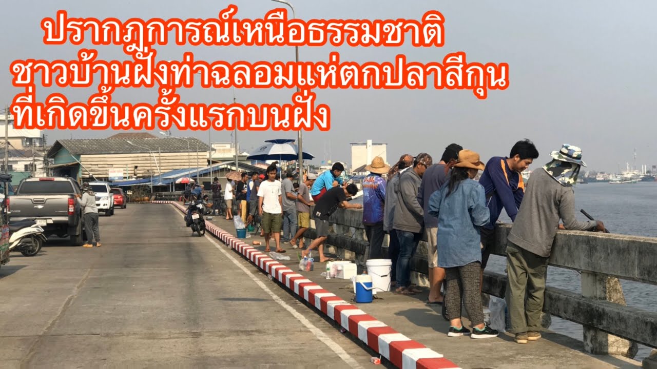 ชาวบ้านนับร้อยแห่ดูปลาสีกุนเข้าอ่าวท่าฉลอมครั้งแรก //ท่าฉลอม//สมุทรสาคร//จุ๊จุ๊ ออนทัวร์ EP:464