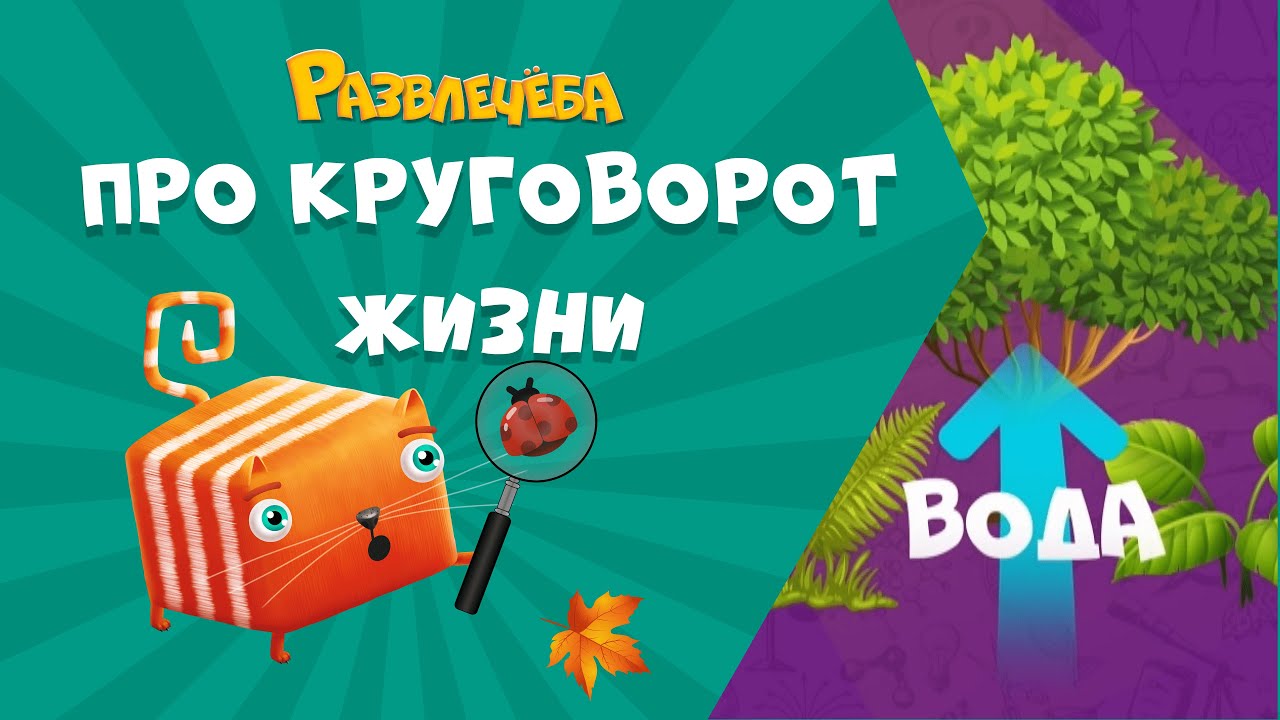 Развлечёба. Окружающий мир. Про круговорот жизни