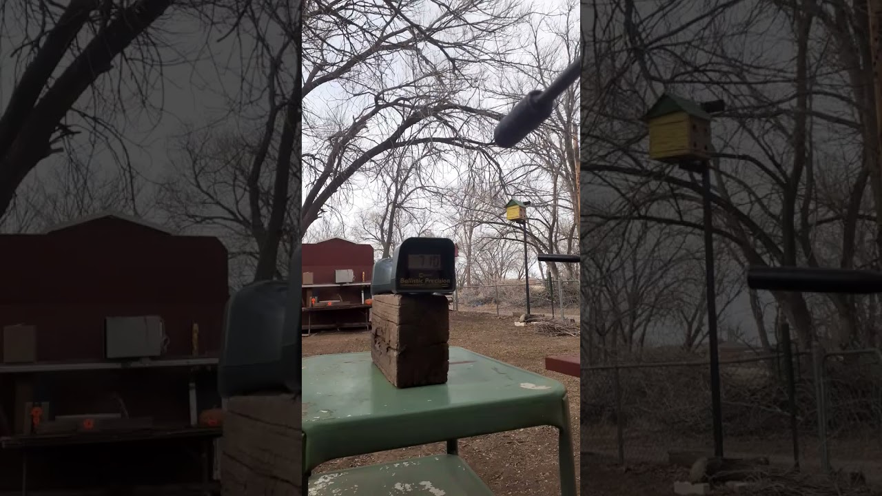 Crosman  Drifter .22 v Diana Chaser .22  comparison video.