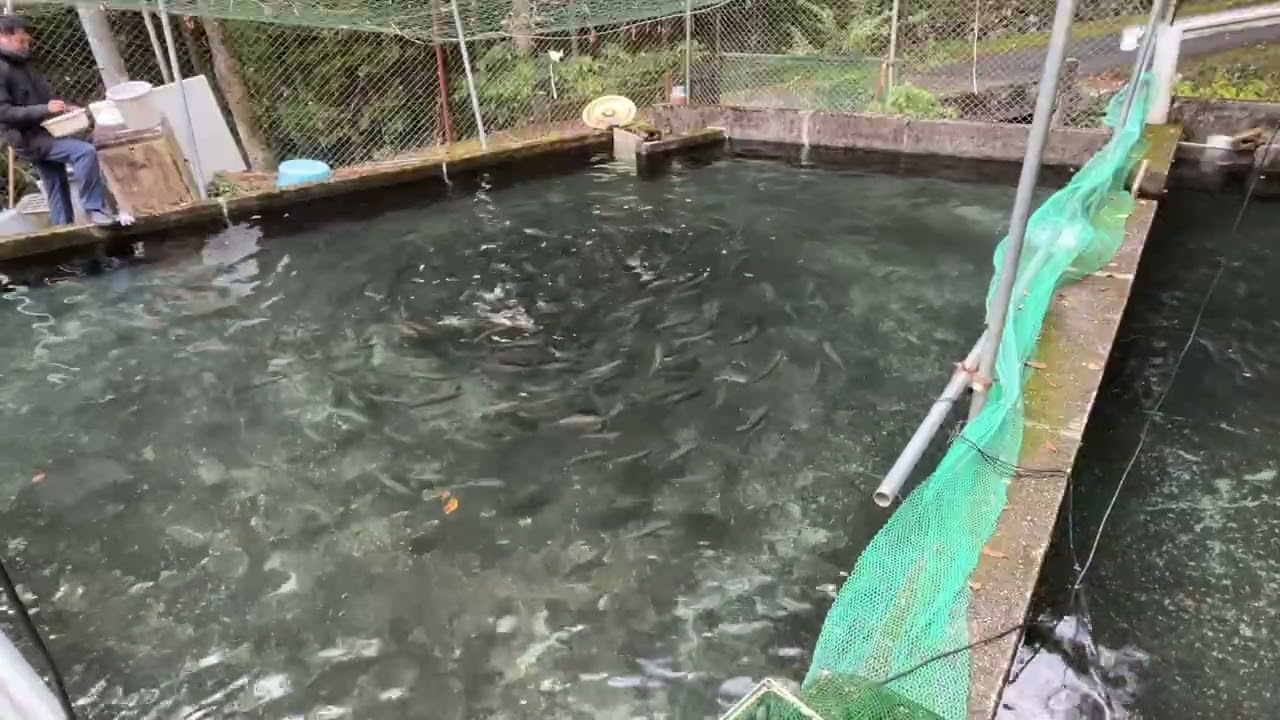 20251029飼育管理_前半