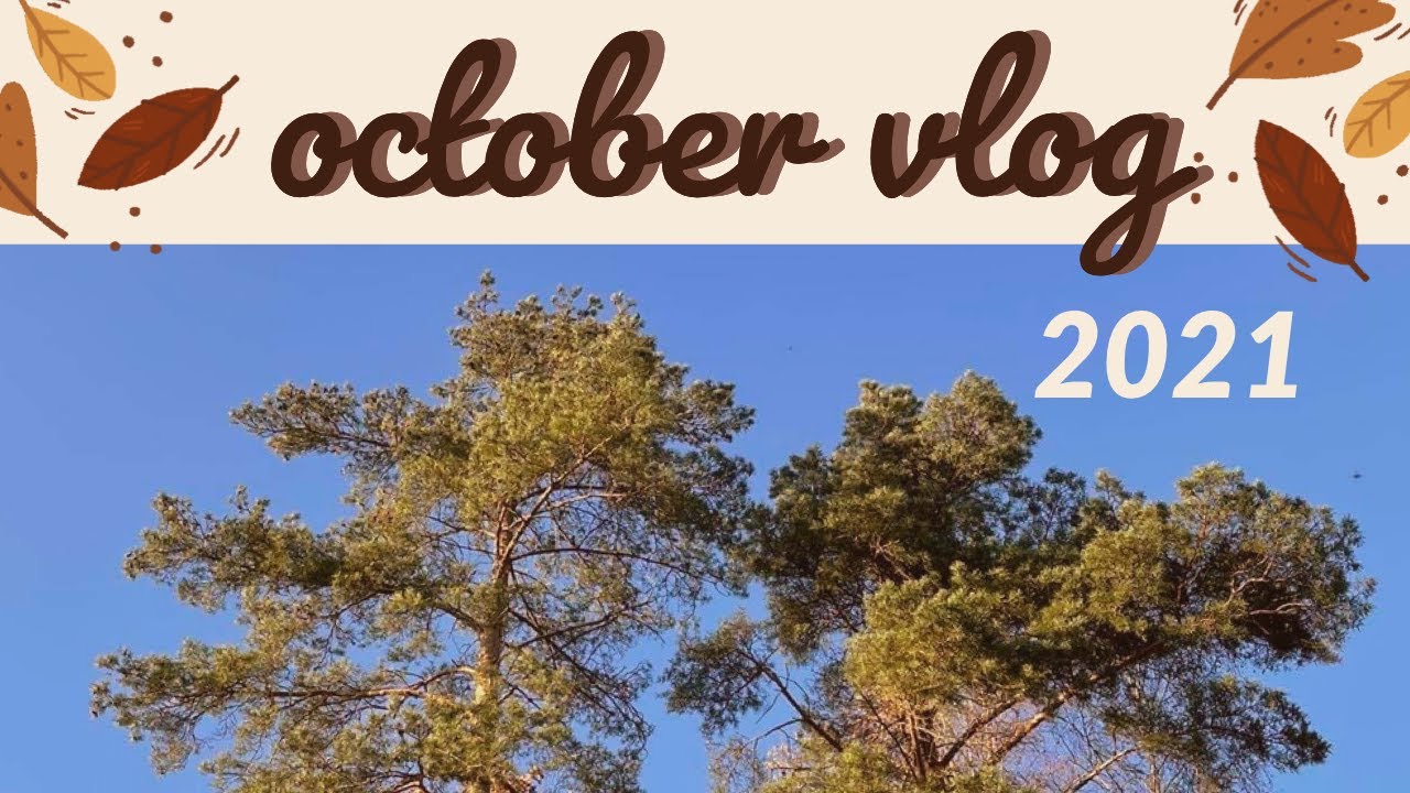 pov: a month in life of a polish ib student - october vlog