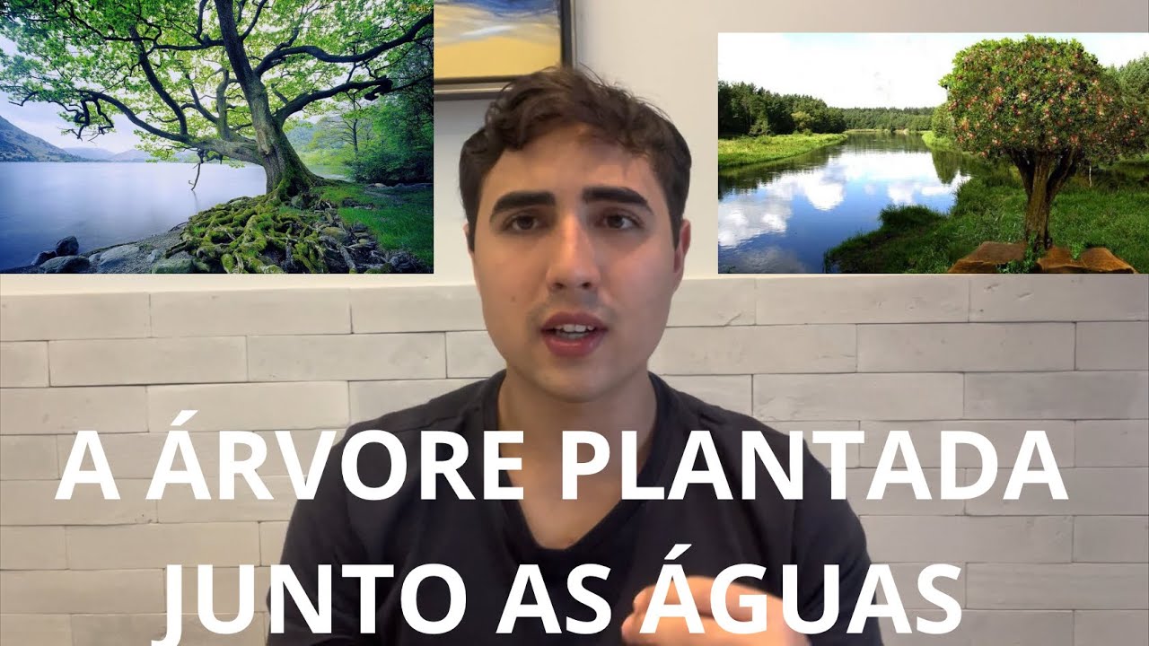 Aquele Que Confia no Criador é Como a Árvore Plantada Junto às Águas - Jeremias 17, Salmos 1 e Is 48