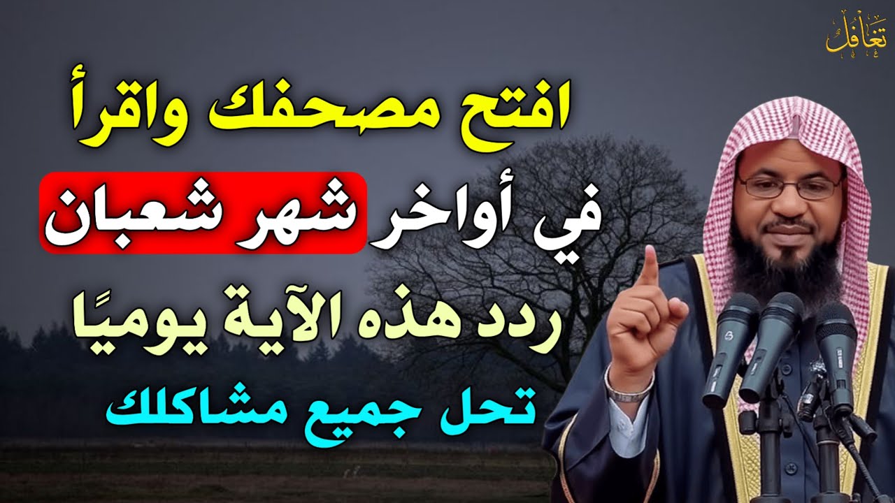 افتح مصحفك واقرأ في أواخر شهر شعبان ردد هذه الآية يوميًا تحل جميع مشاكلك..