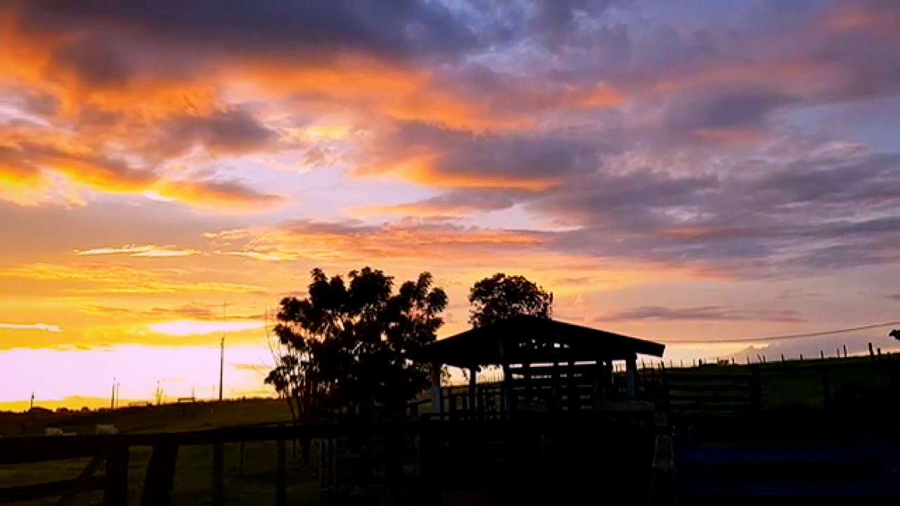 Beautiful sunset video | Aesthetic evening sunset | elegy | relaxing music with nature