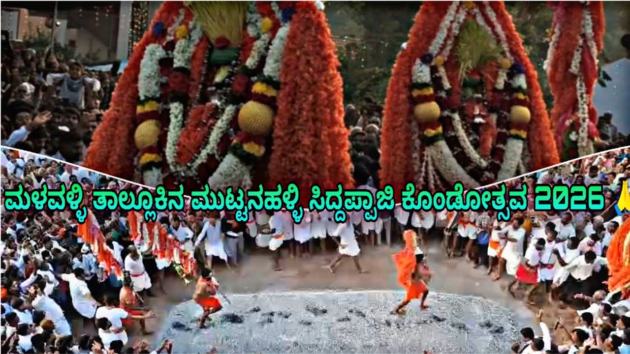 ಮಳವಳ್ಳಿ ತಾಲ್ಲೂಕಿನ ಮುಟ್ಟನಹಳ್ಳಿ ಸಿದ್ದಪ್ಪಾಜಿ ಕೊಂಡೋತ್ಸವ 2026  🙏