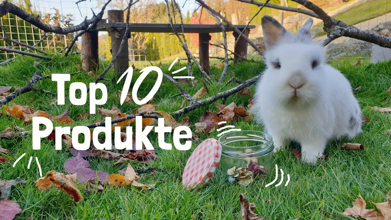 meine 10 liebsten Kaninchen Produkte