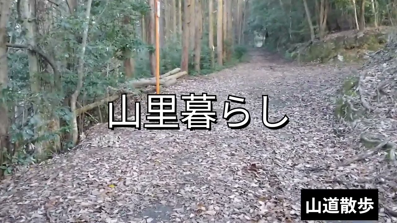 山道散歩2　右に行ったら？