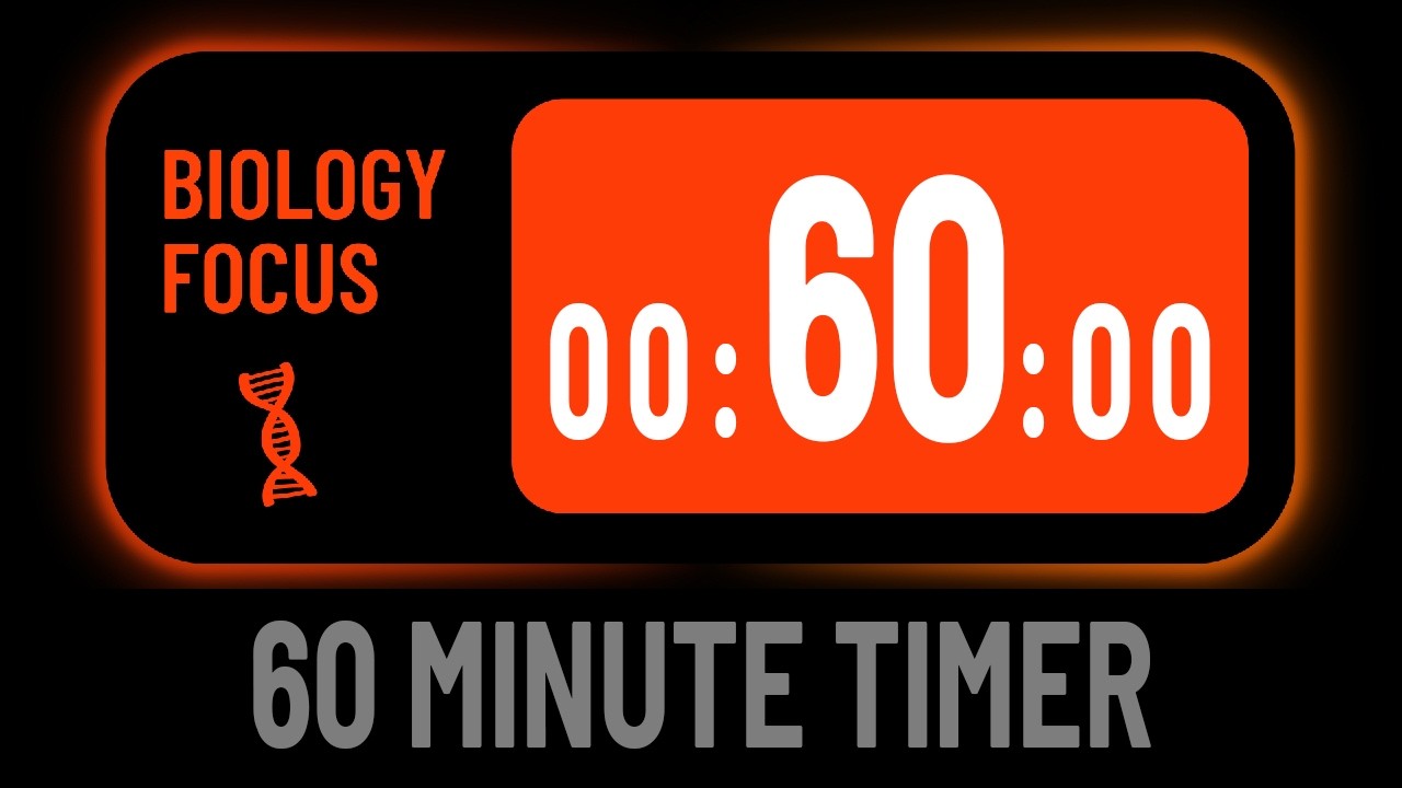 Minimalist Silent 60 Minute/1 Hour Countdown Timer For Biology Focus