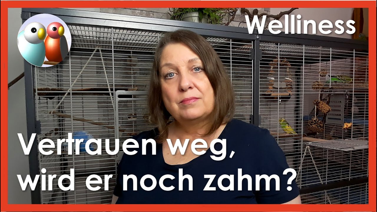 Ich habe alles falsch gemacht. Bekomme ich meine Wellensittiche jetzt noch zahm. 34/145