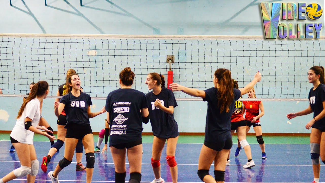Pallavolo Serie D - Napocolor DVB  vs  Volley Assago