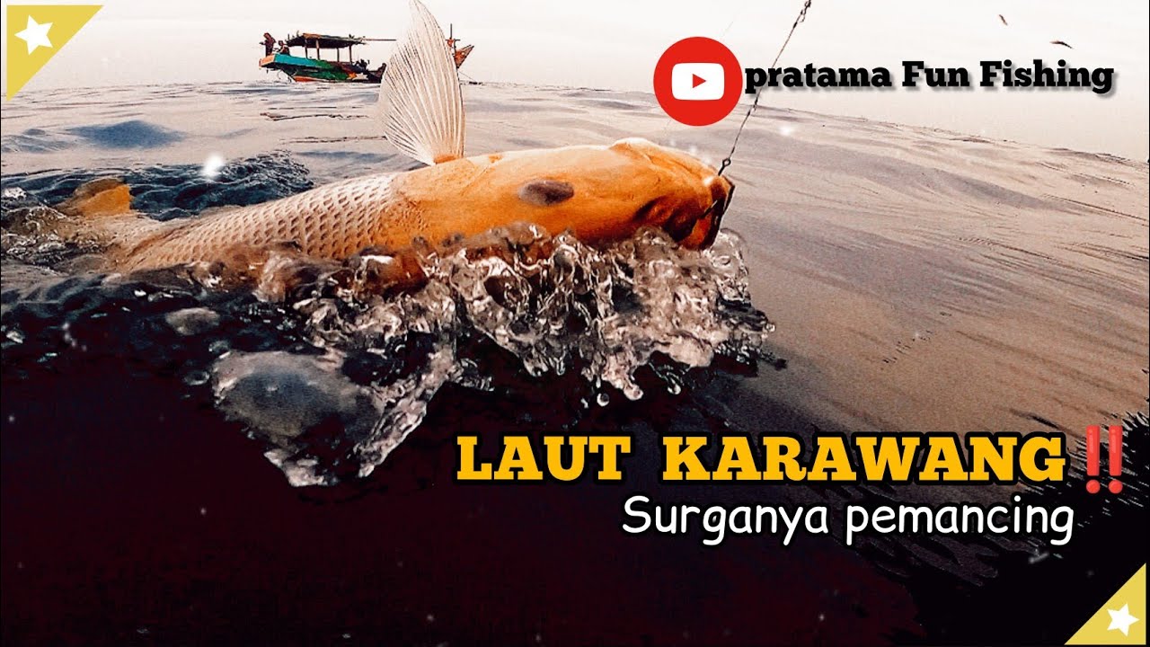 Berburu King Mackeler & Predator Dasaran Di Laut Karawang | Terbaru Juni 2022 #mancingtenggiri