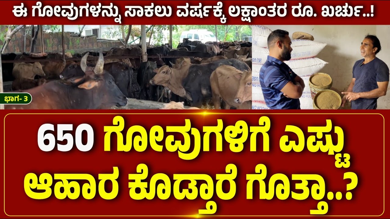 GOSHAALE | 650 ಗೋವುಗಳಿಗೆ ಎಷ್ಟು ಆಹಾರ ಕೊಡ್ತಾರೆ ಗೊತ್ತಾ..?