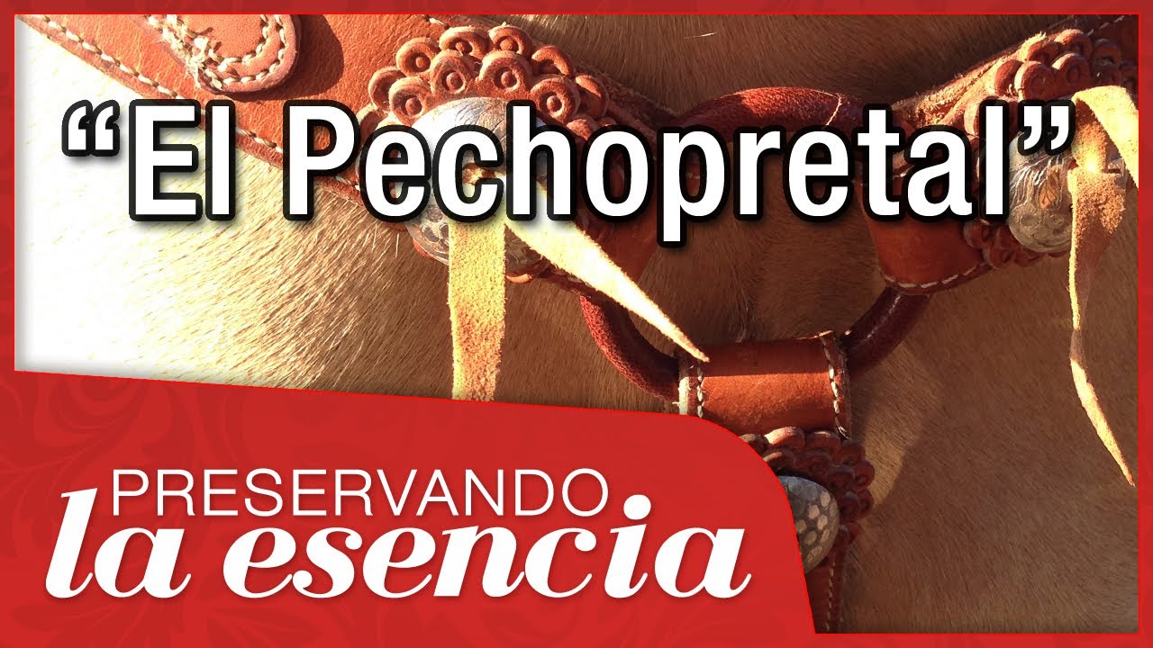 El Pechopretal: cu&aacute;ndo usarlo, cu&aacute;ndo se puede prescindir de &eacute;l y cu&aacute;ndo NO usarlo.