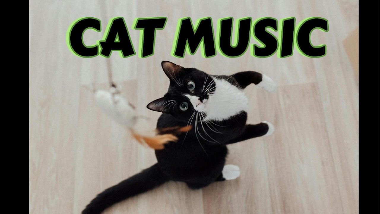 [1Ч] Плейлист с Музыкой для Игр с Кошкой 🐾