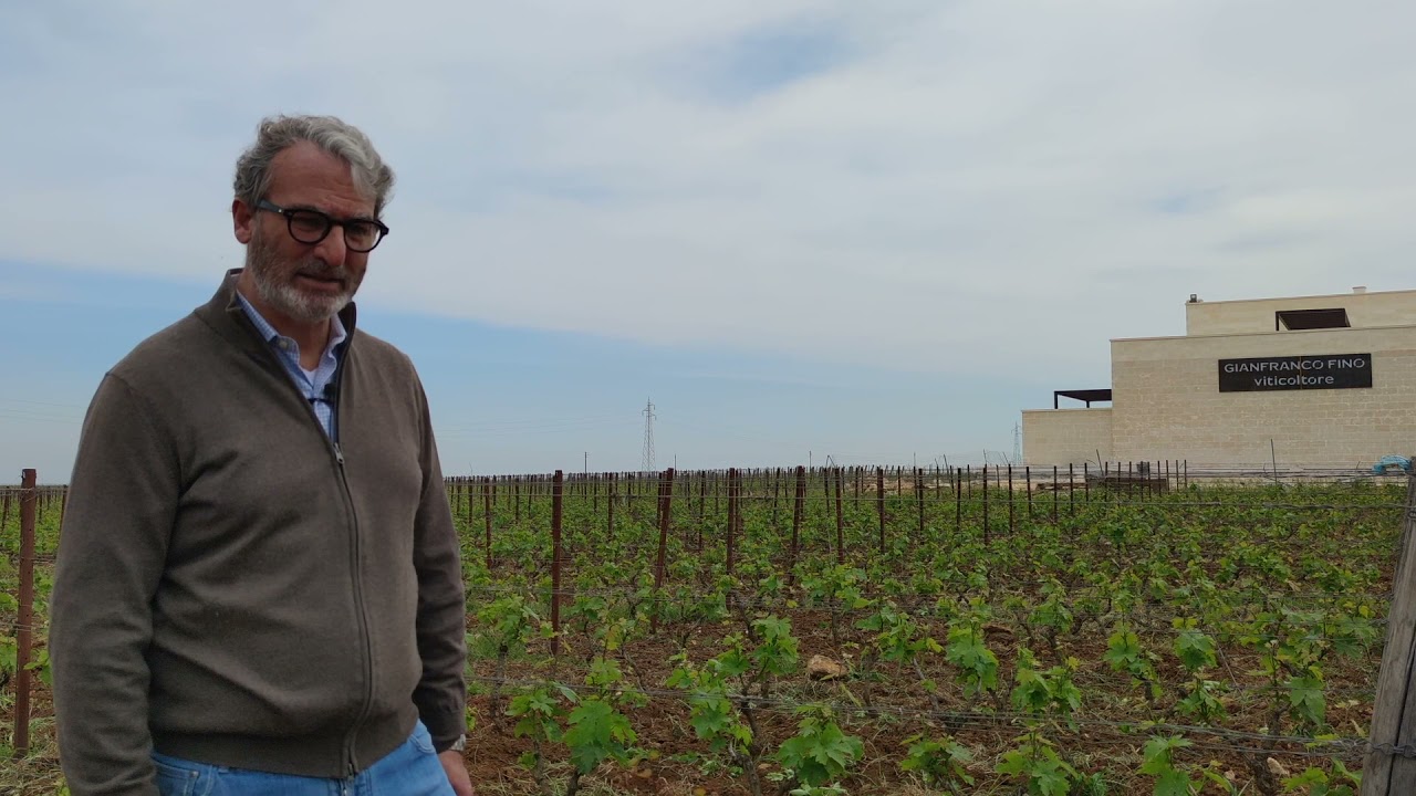 Gianfranco Fino, Puglia: Slow Wine 2022