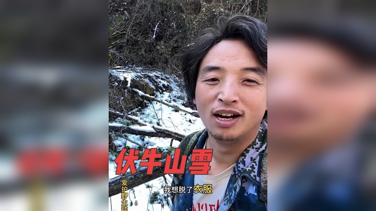 #返乡创业青年 #抖音新农人 #乡村振兴dou行动 兄弟们多进山实习一下，男人的时代快到了，保家卫国建功立业，没有男人能拒绝户口本单开一页的荣耀！#山茱萸#血参